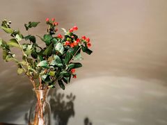 -菩提素素食餐厅(晶郦馆店)