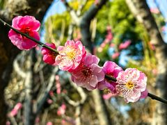 -静安雕塑公园