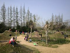 -前小桔亲子创意农场·草莓采摘·露营烧烤