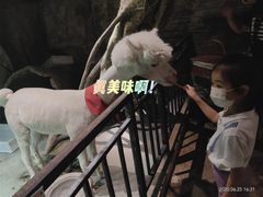 -zoonana室内动物园(东方福来德店)