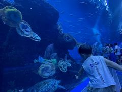 -成都浩海立方海洋公园