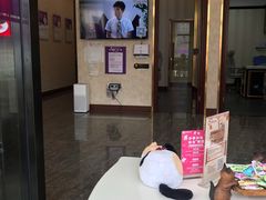 -宠爱国际动物医院· 猫科· 外科·中兽医(长白店)