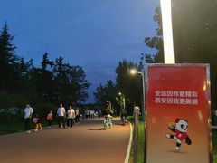 -灞河西岸滨河公园