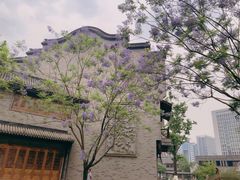-龙潭水乡