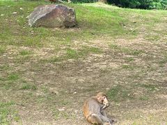 -苏州上方山国家森林公园