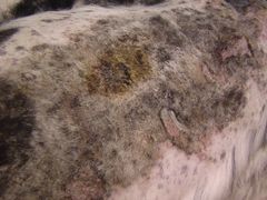 ments&nbsp;and&nbsp;Settings\Administrator\桌面\新建文件夹\IMGA4739-康乐宝动物医院