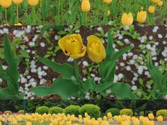 -长春公园(普阳街道)