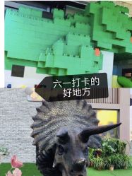-恐龙探索乐园(磁器口店)