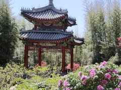 -红螺寺