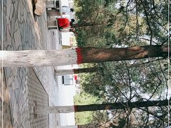 -西柏坡纪念馆