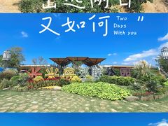 -上海长兴岛郊野公园