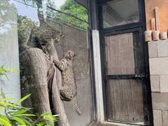 -井之头恩赐公园