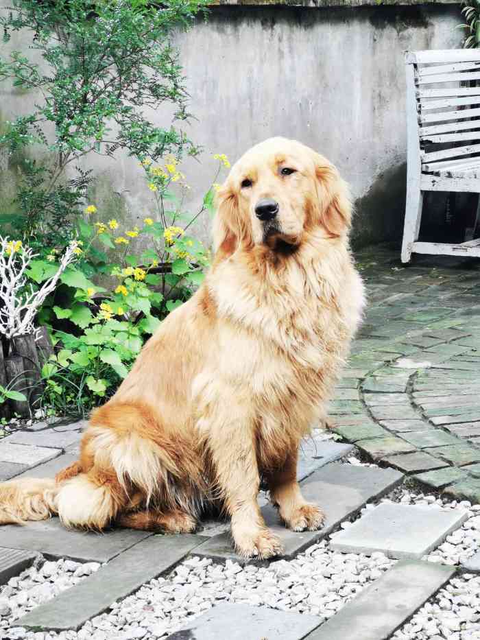 冻绿房-"大众点评看到这家感觉很有特色,跟着就来了."-大众点评移动版