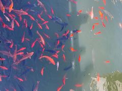 -威海华夏城景区