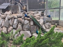 -水绘园