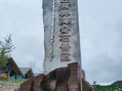 -汤旺河林海奇石景区