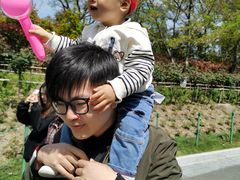 -大宁郁金香公园-停车场