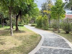 -福田红树林生态公园