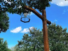 -上海共青森林公园