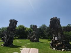 -烟台自然博物馆