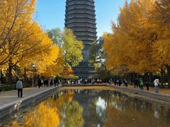 -玲珑塔公园