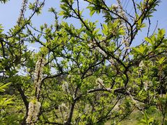 -中国移动南方基地