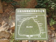 -大岭沟猕猴桃谷风景区