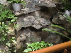 -庄隐阁(悠方广场店)