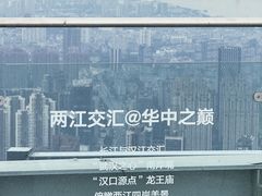-武汉绿地中心