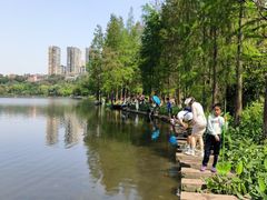 -重庆彩云湖湿地公园