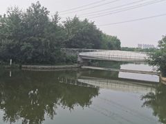 -九里河湿地公园