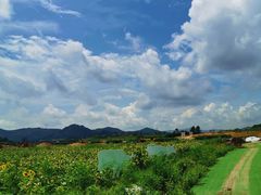 -光明小镇欢乐田园