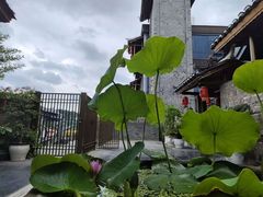 -老凯俚酸汤鱼(多彩城店)