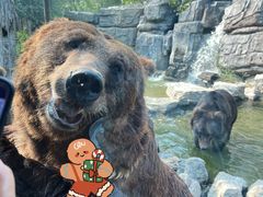 -北京野生动物园