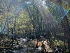-叠溪松坪沟景区