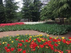 -石家庄市植物园