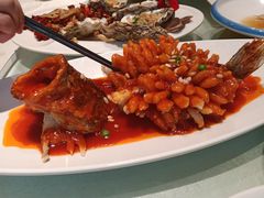 -同济大酒店(绿宝广场店)