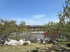 -上海滨江森林公园