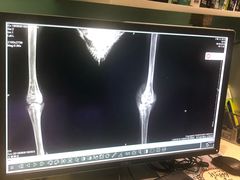 -雨林宠物医院 非犬猫异宠专科