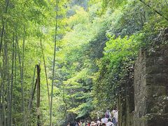 -莫干山风景区