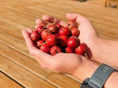 -大岭沟猕猴桃谷风景区