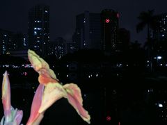 -江头公园