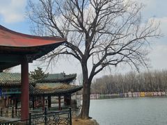 -二一九公园