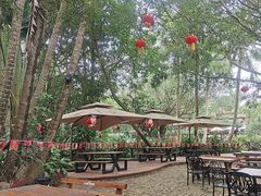 -海南热带野生动植物园
