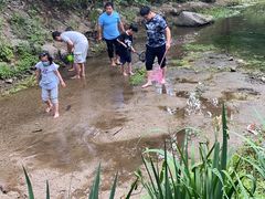 -白水寺森林公园