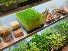 -鲜货俚鲜火锅(青果路店)