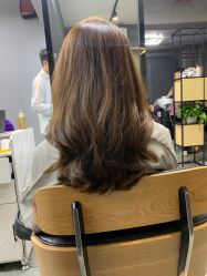 -藤野造型