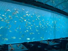 -瑞德姆美人鱼海底演艺主题餐厅(亚龙湾店)