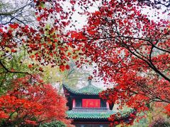 -岳麓山风景名胜区