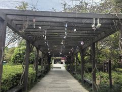 -白马涧龙池景区